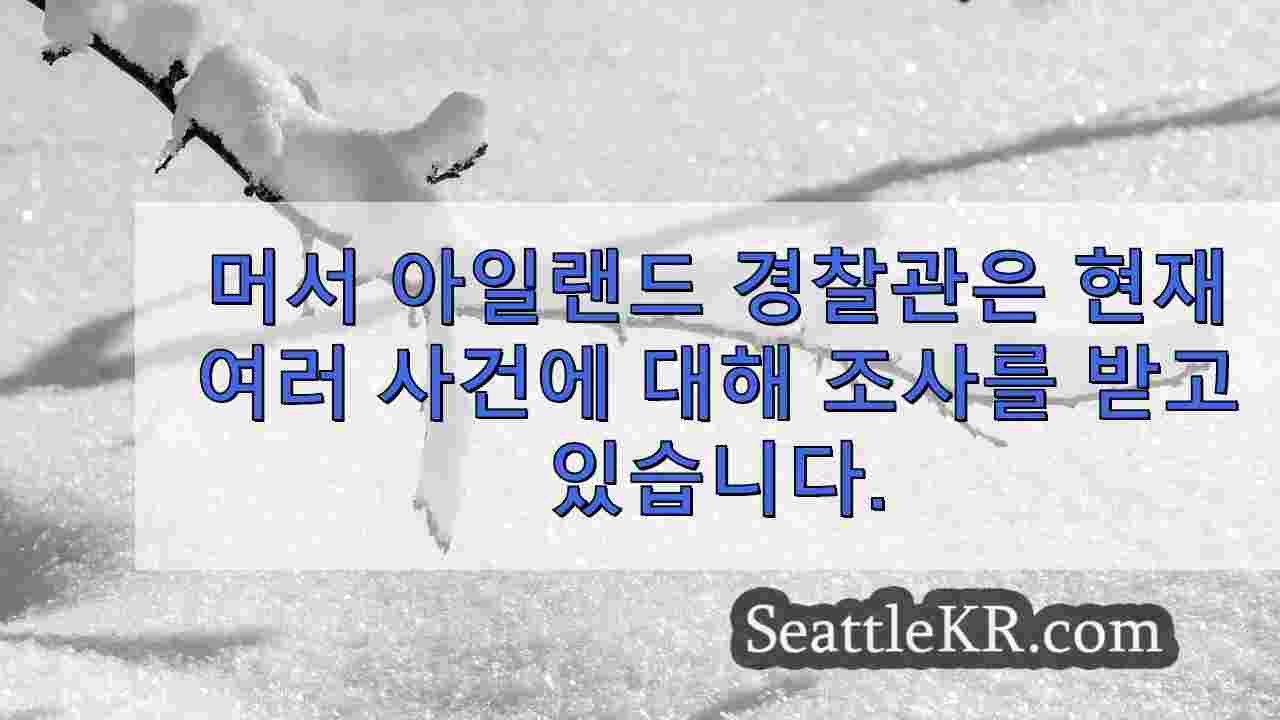 시애틀 뉴스 SeattleKR