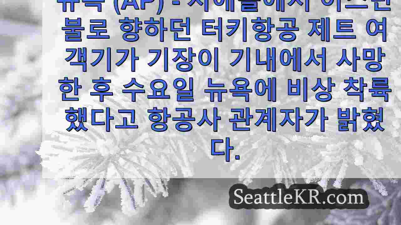 시애틀 뉴스 SeattleKR