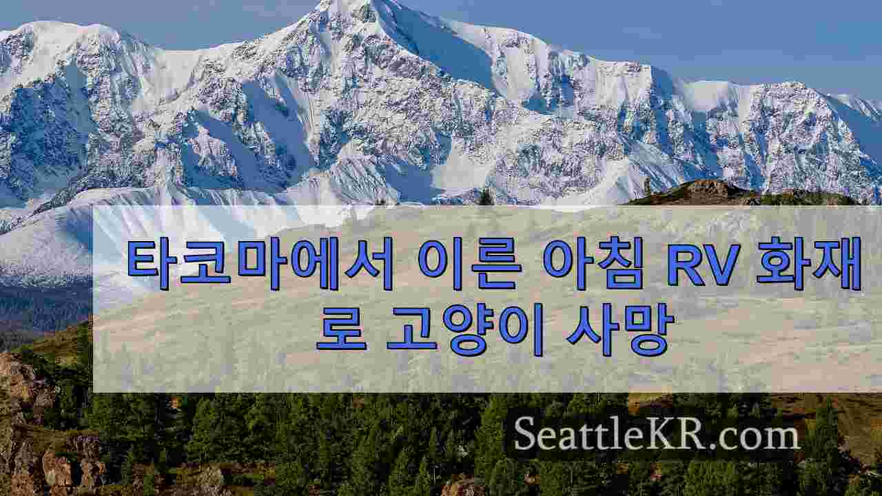 시애틀 뉴스 SeattleKR