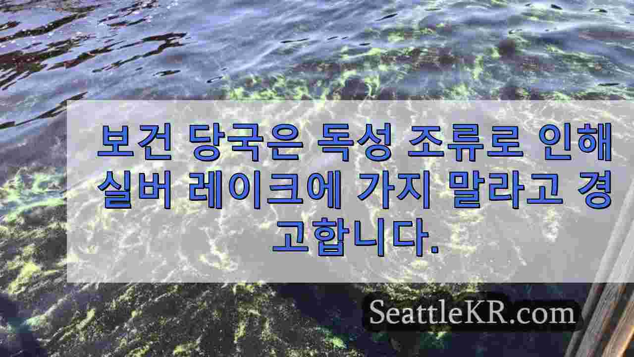 보건 당국은 독성 조류로 인해 실버 레이크에 가지 말라고 경고합니다.