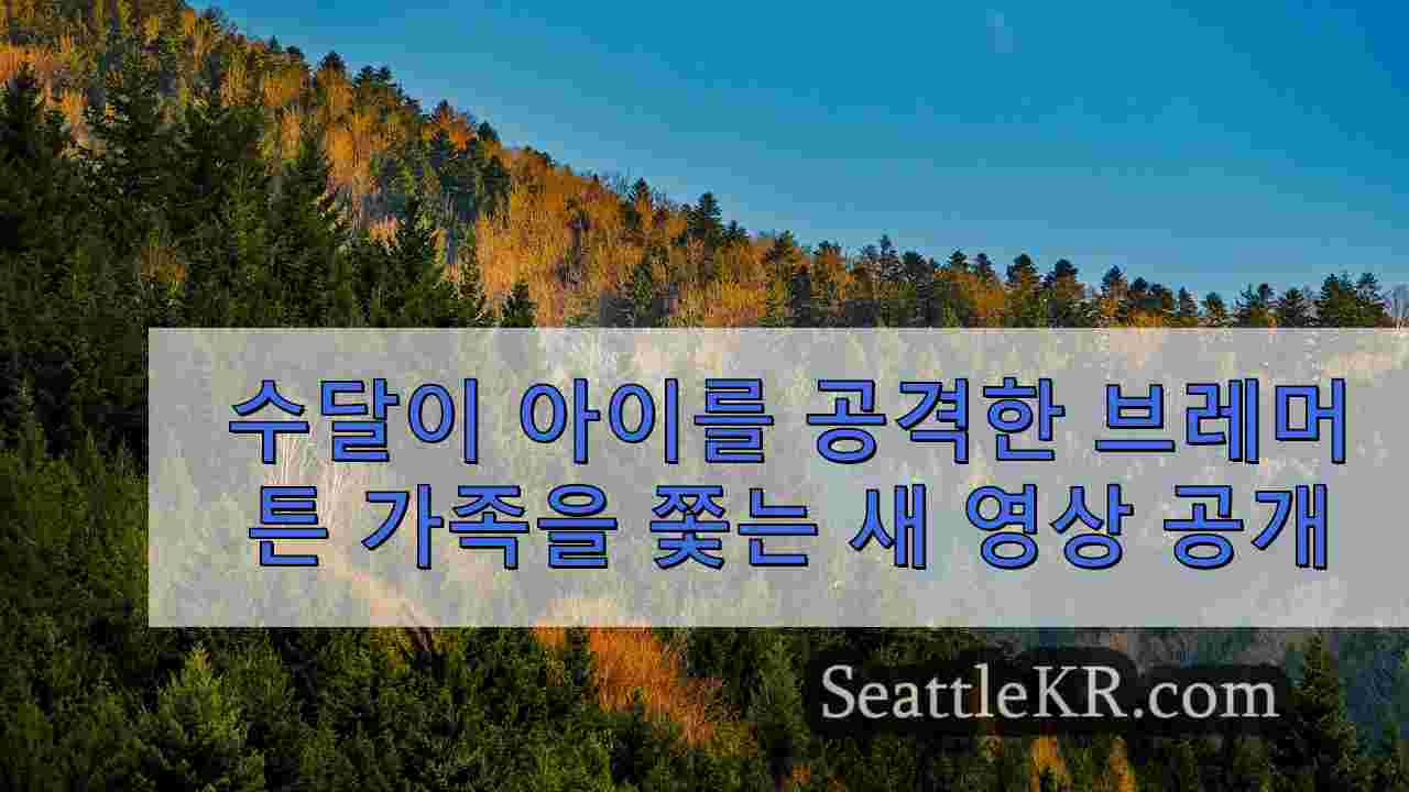 시애틀 뉴스 SeattleKR