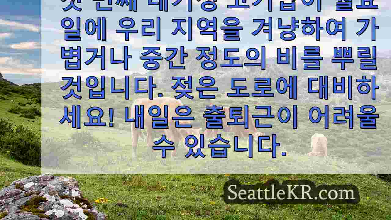 시애틀 뉴스 SeattleKR