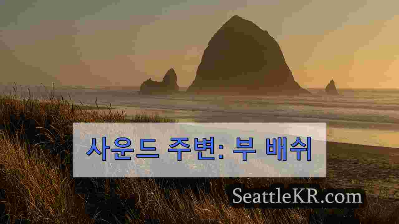 사운드 주변: 부 배쉬
