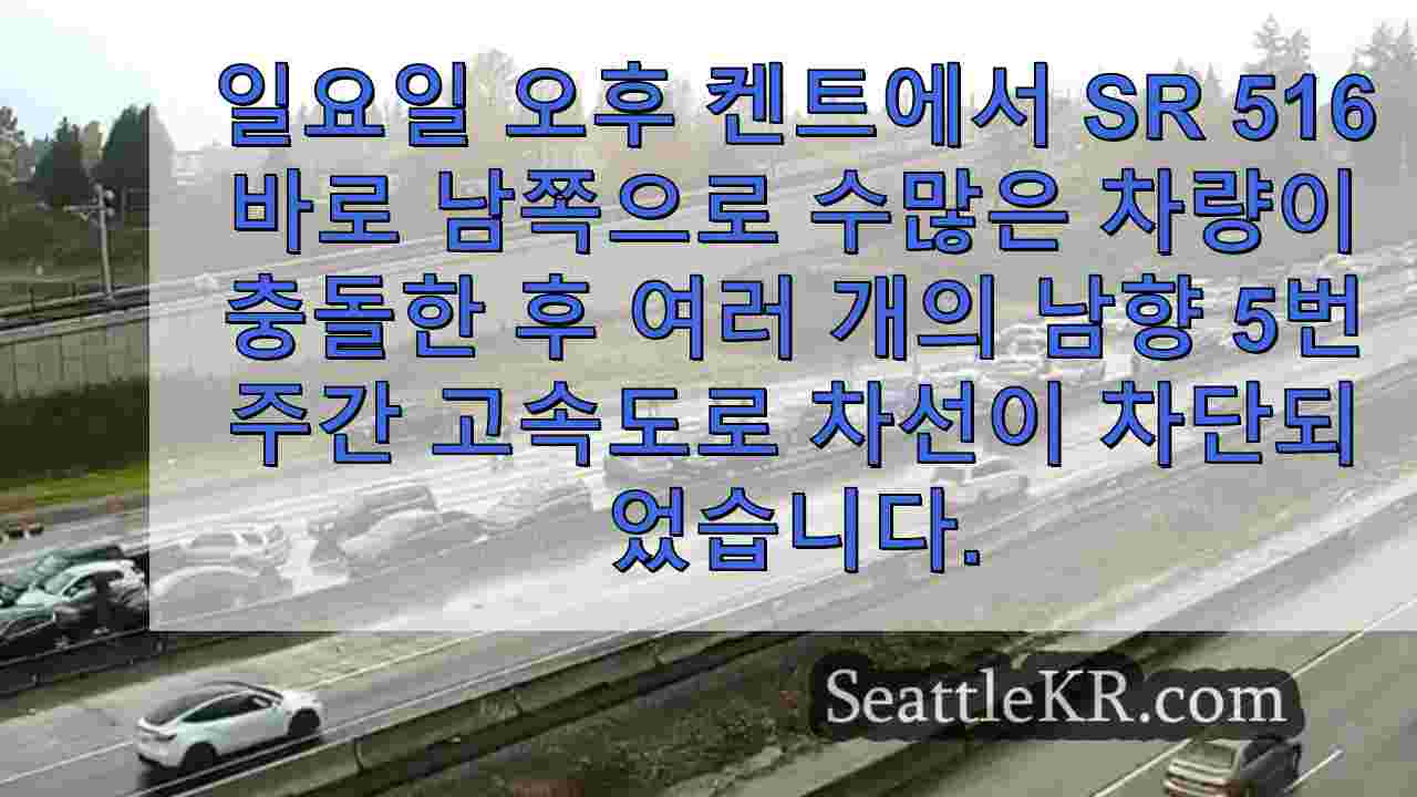 시애틀 뉴스 SeattleKR