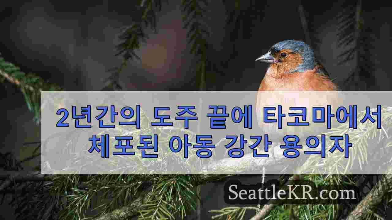 시애틀 뉴스 SeattleKR