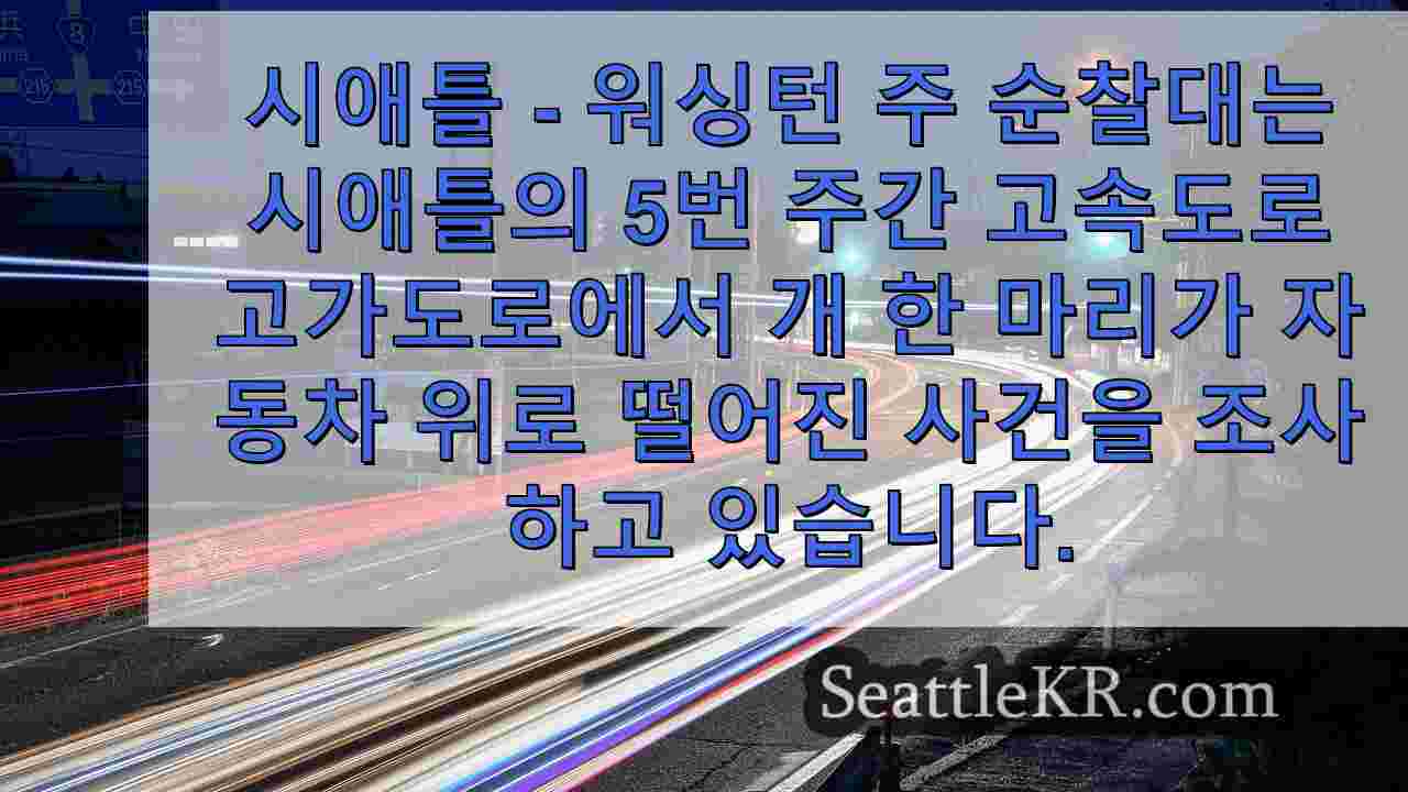 시애틀 뉴스 SeattleKR