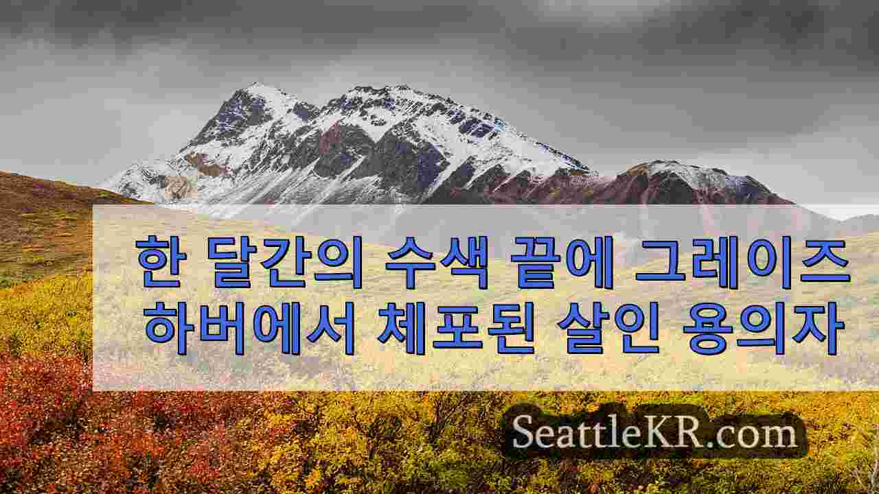 시애틀 뉴스 SeattleKR