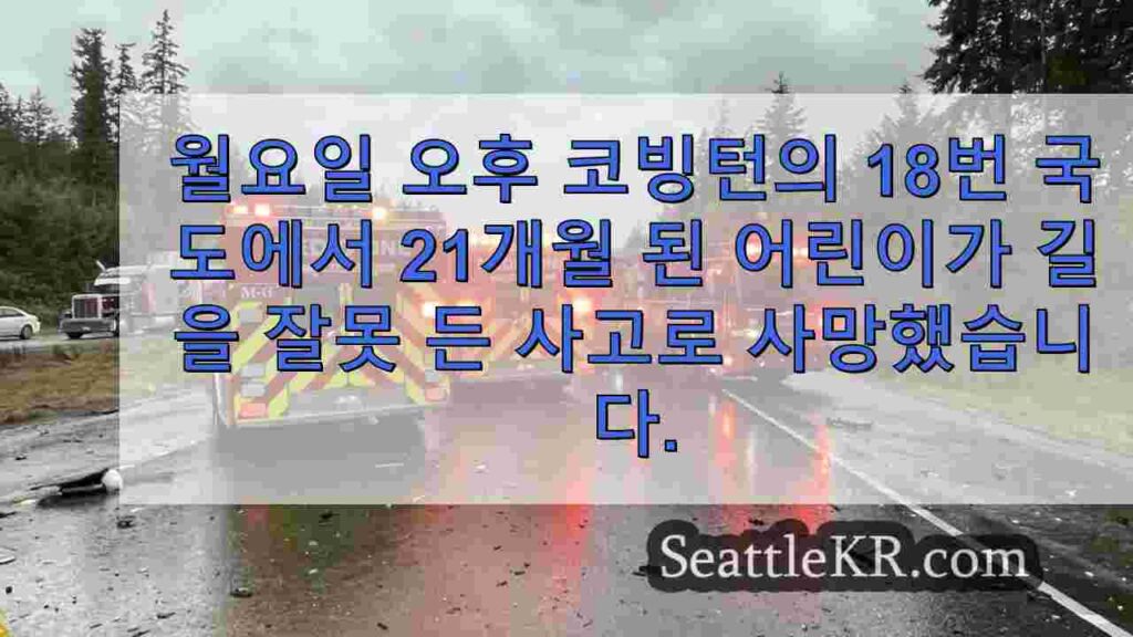코빙턴의 주 18 번 국도에서 잘못된 방향 충돌로 21 개월 된 아이가