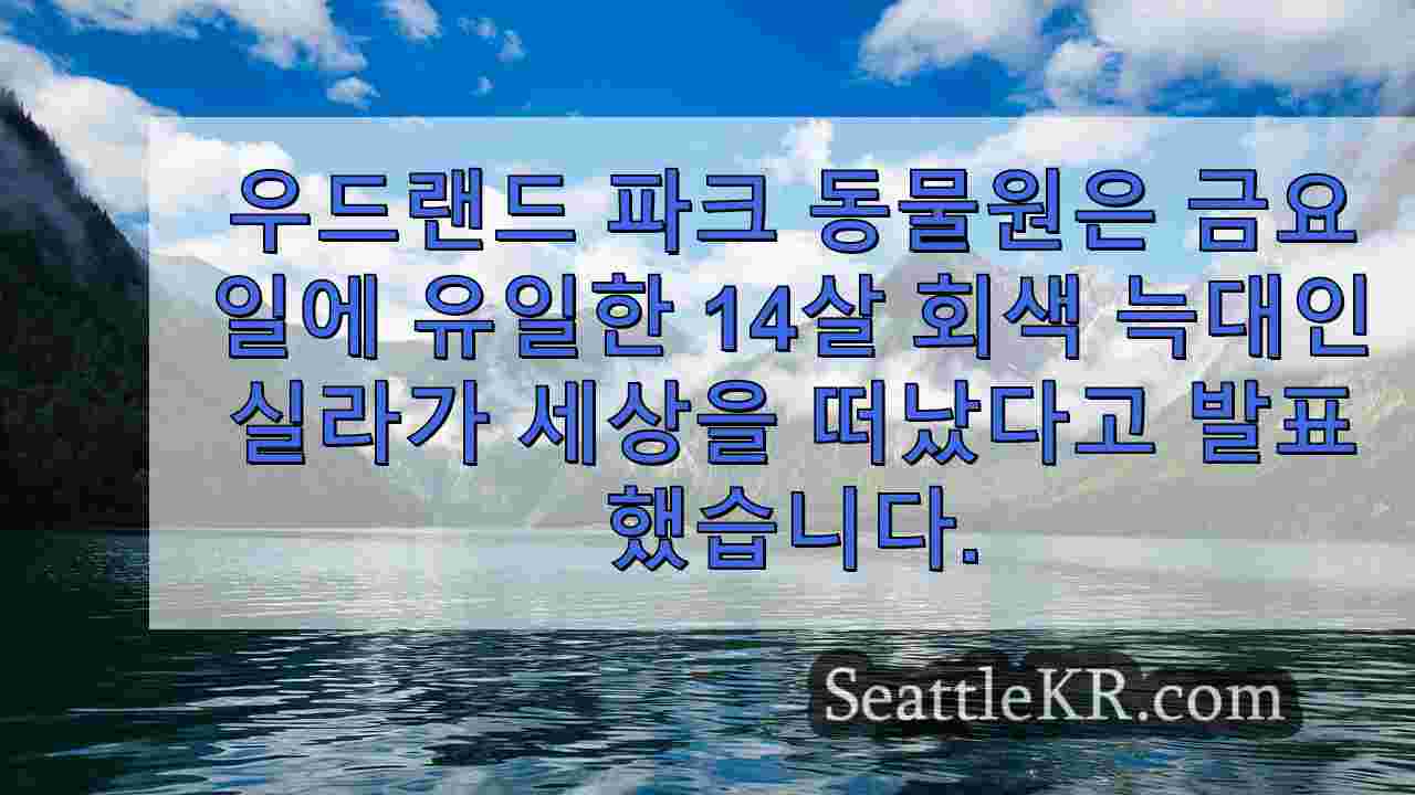 시애틀 뉴스 SeattleKR