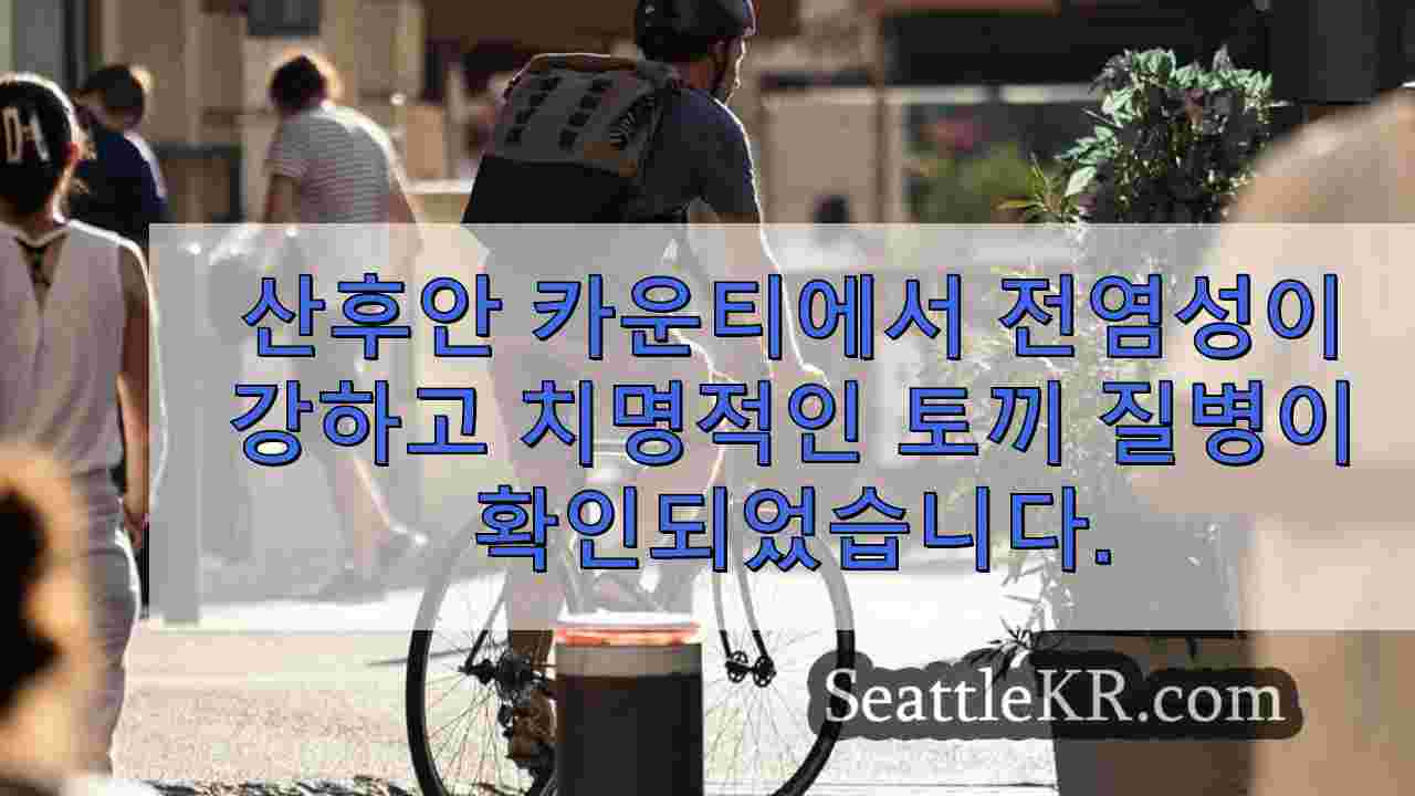 시애틀 뉴스 SeattleKR