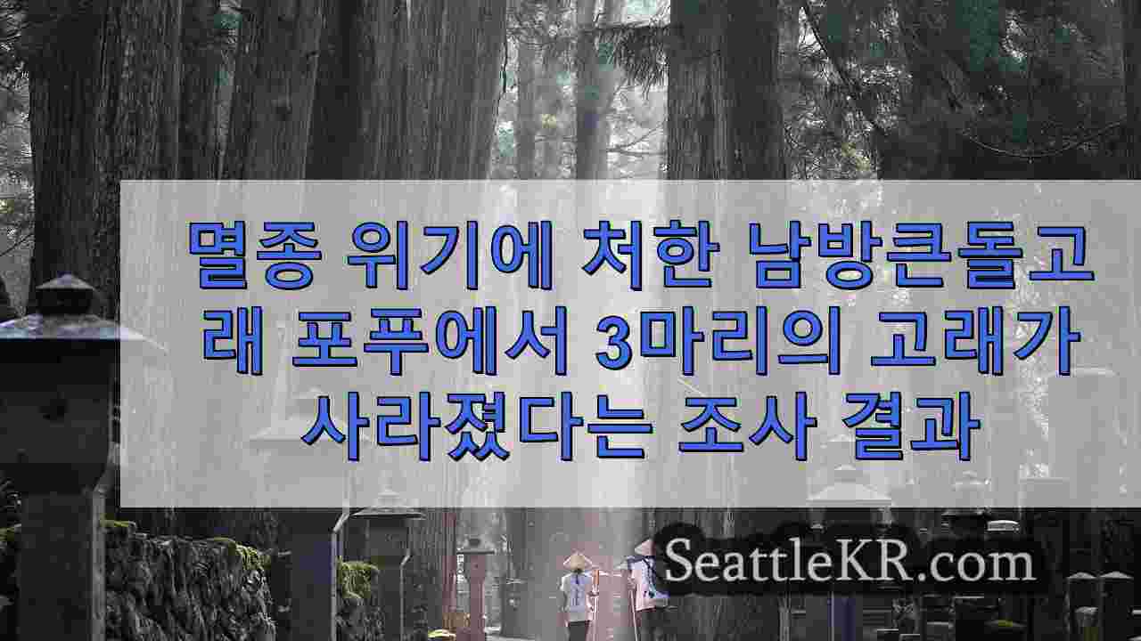 시애틀 뉴스 SeattleKR