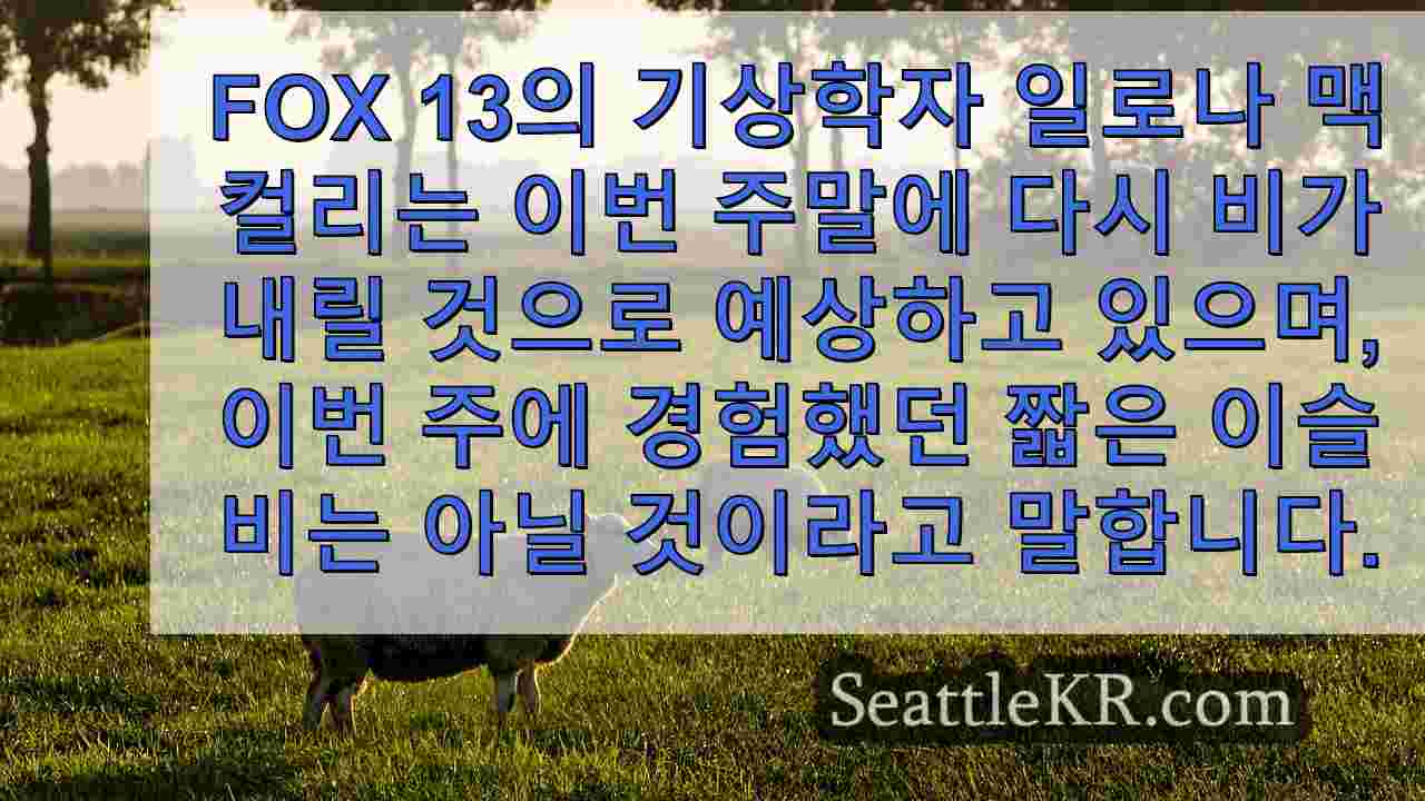 시애틀 날씨: 습하고 바람이 많이 부는 주말을 앞두고