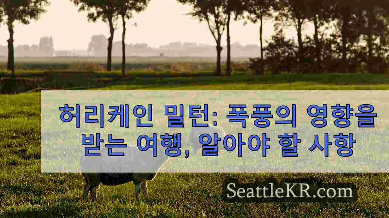 시애틀 뉴스 SeattleKR
