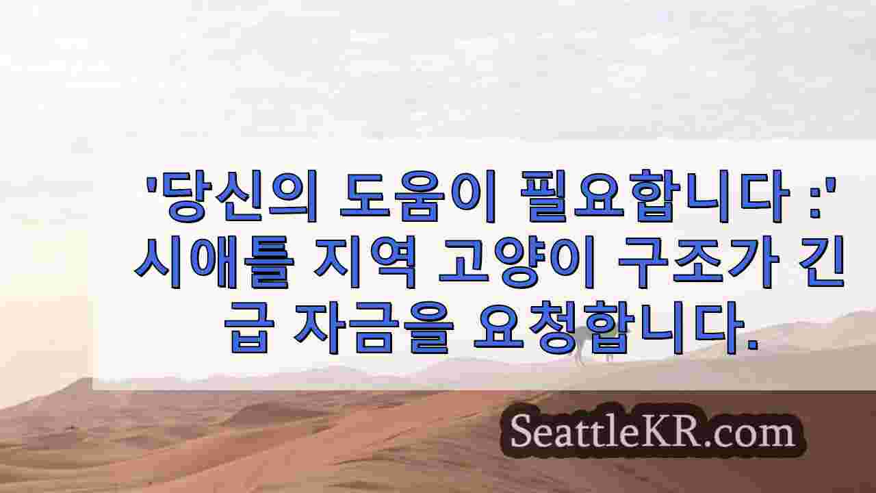 시애틀 뉴스 SeattleKR