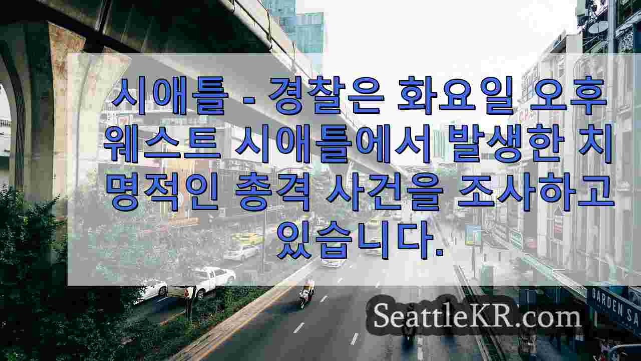 시애틀 뉴스 SeattleKR