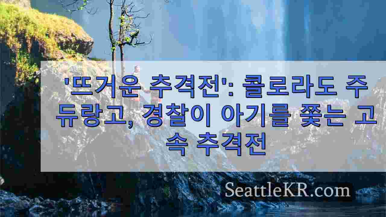 시애틀 뉴스 SeattleKR