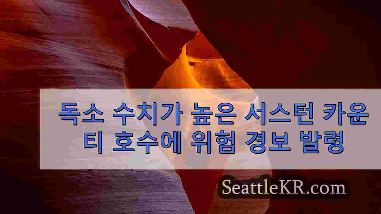 시애틀 뉴스 SeattleKR