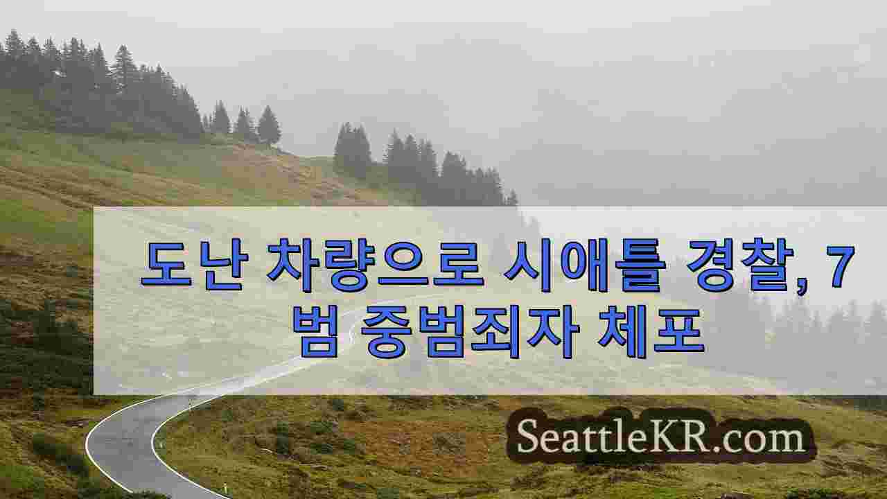 시애틀 뉴스 SeattleKR
