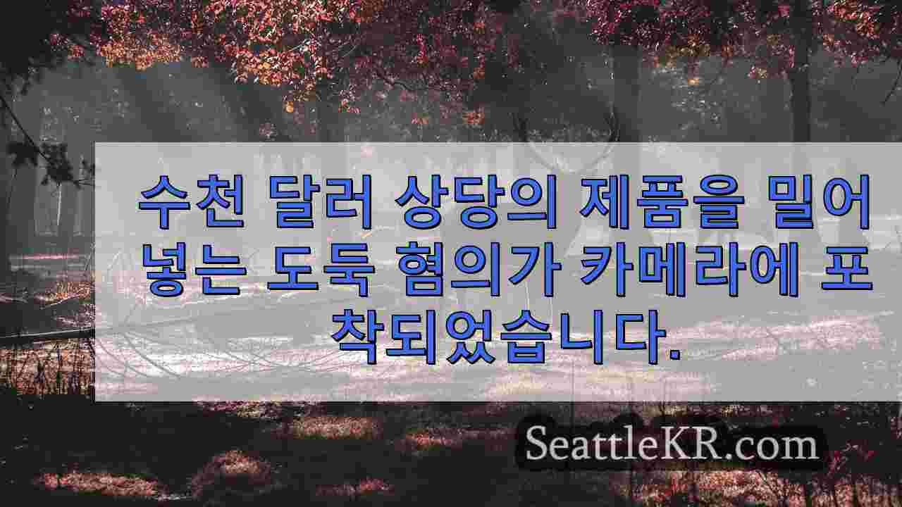 시애틀 뉴스 SeattleKR