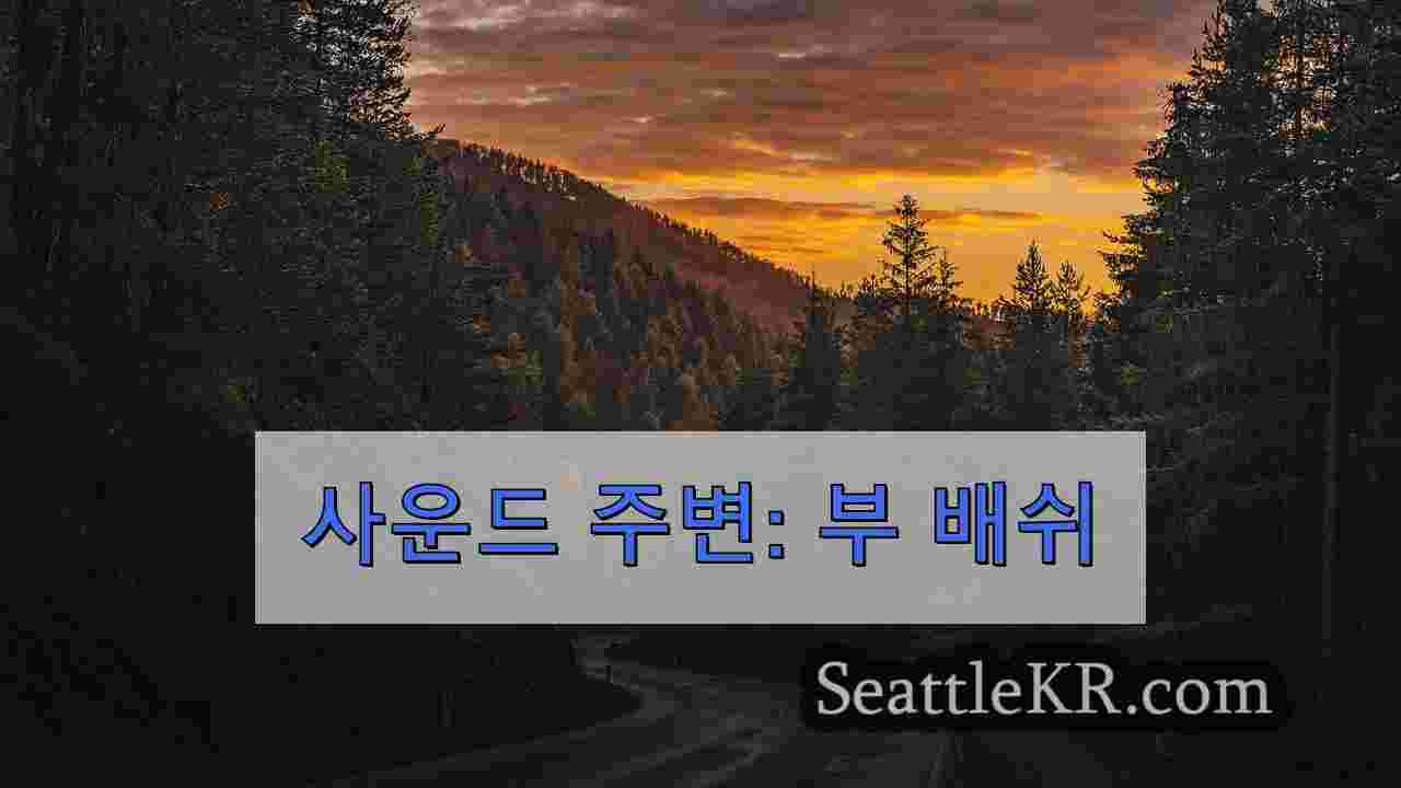 시애틀 뉴스 SeattleKR