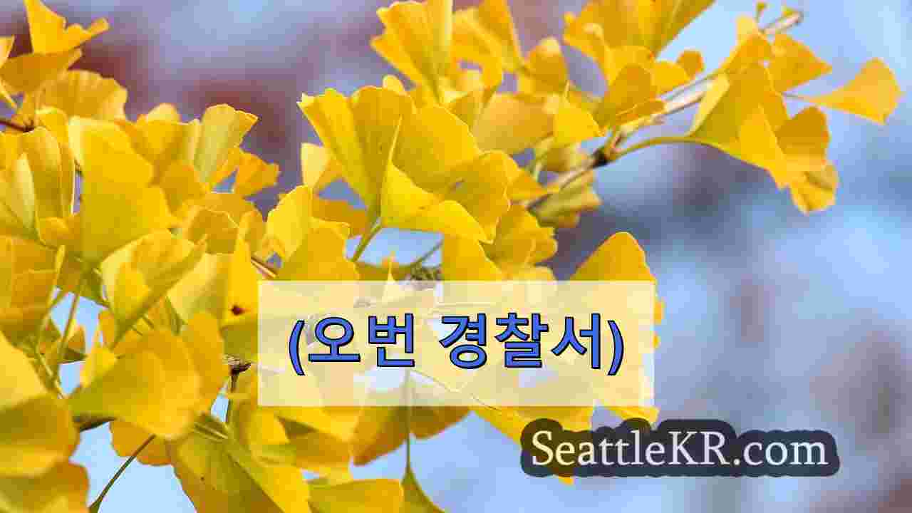 오번 뺑소니 사고로 남성이 중태에 빠지다