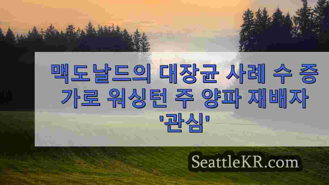 시애틀 뉴스 SeattleKR