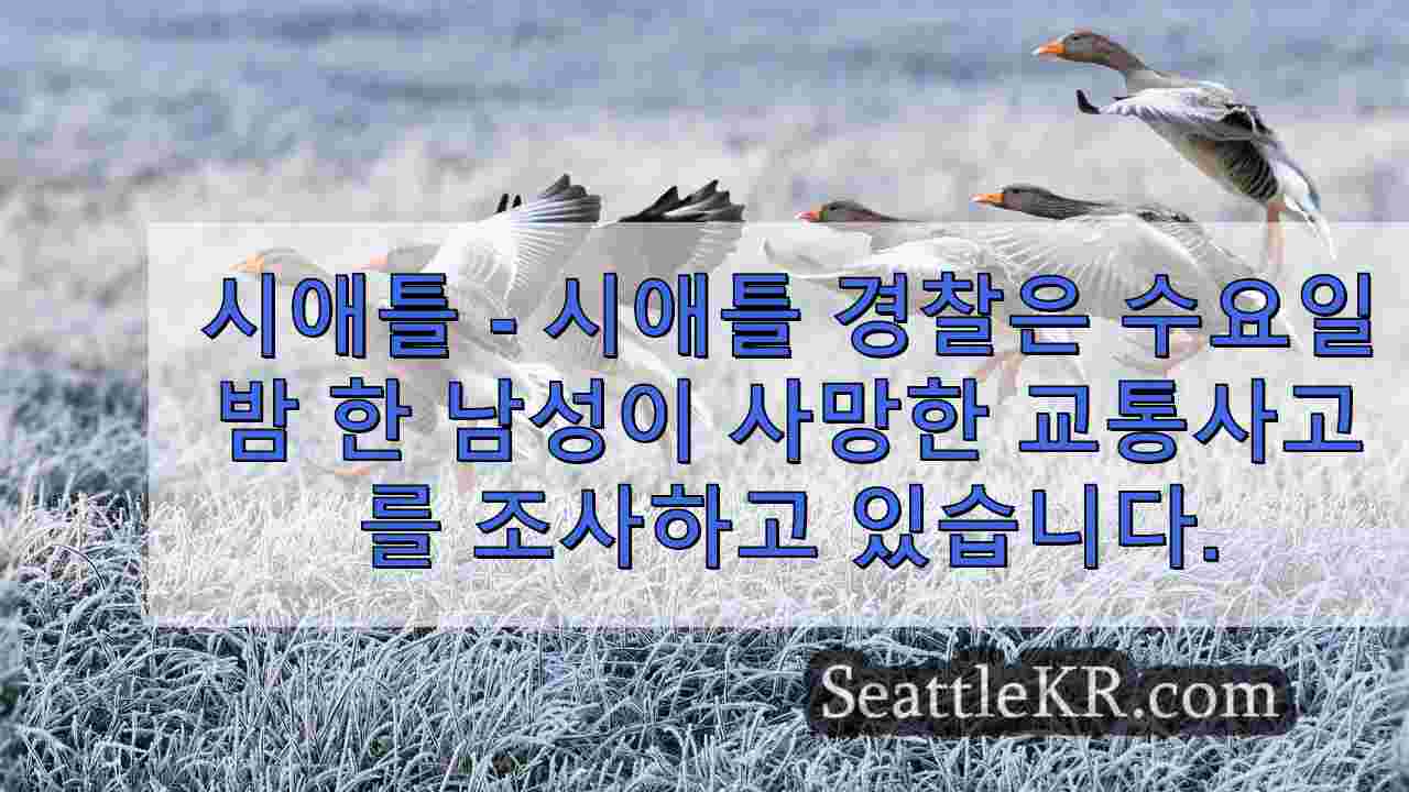시애틀 뉴스 SeattleKR