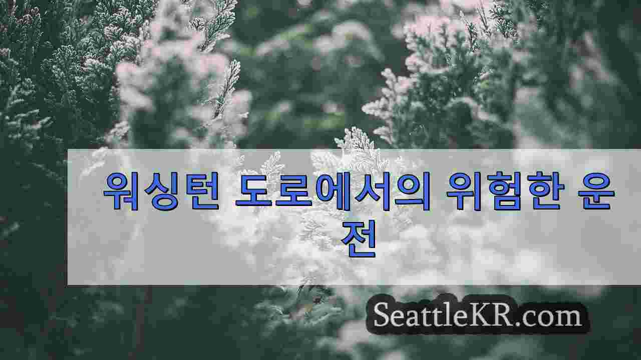 시애틀 뉴스 SeattleKR