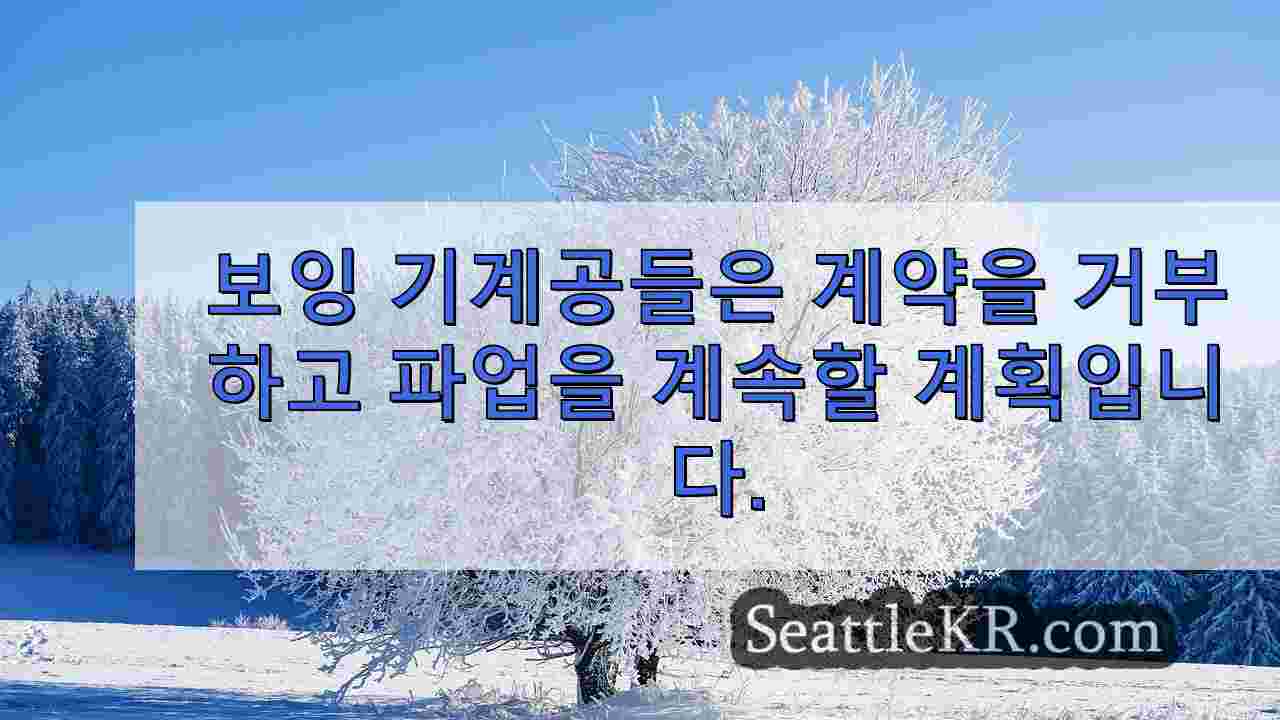 보잉 기계공들은 계약을 거부하고 파업을 계속할 계획입니다.