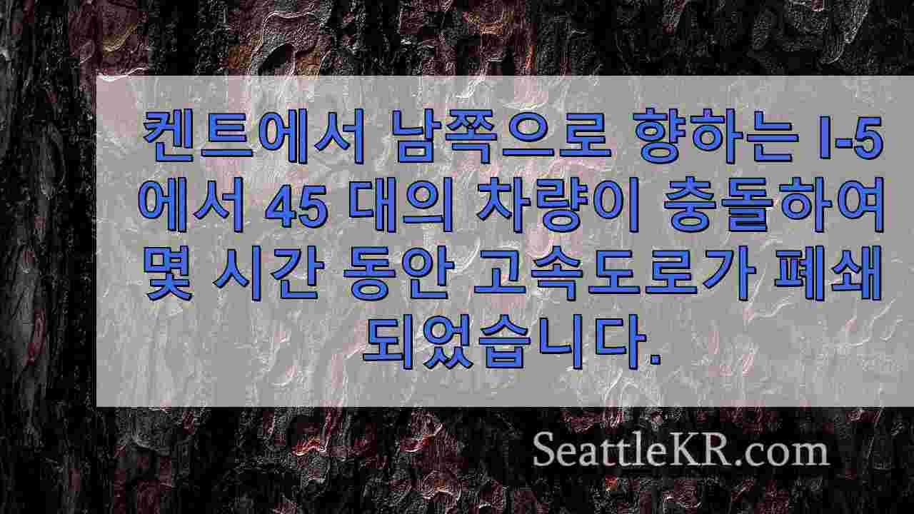시애틀 뉴스 SeattleKR