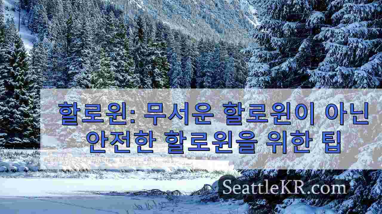 시애틀 뉴스 SeattleKR