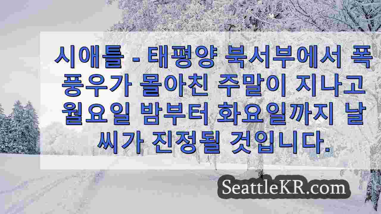 시애틀 날씨: 기록적인 주말 총계 이후 한풀 꺾이는 비