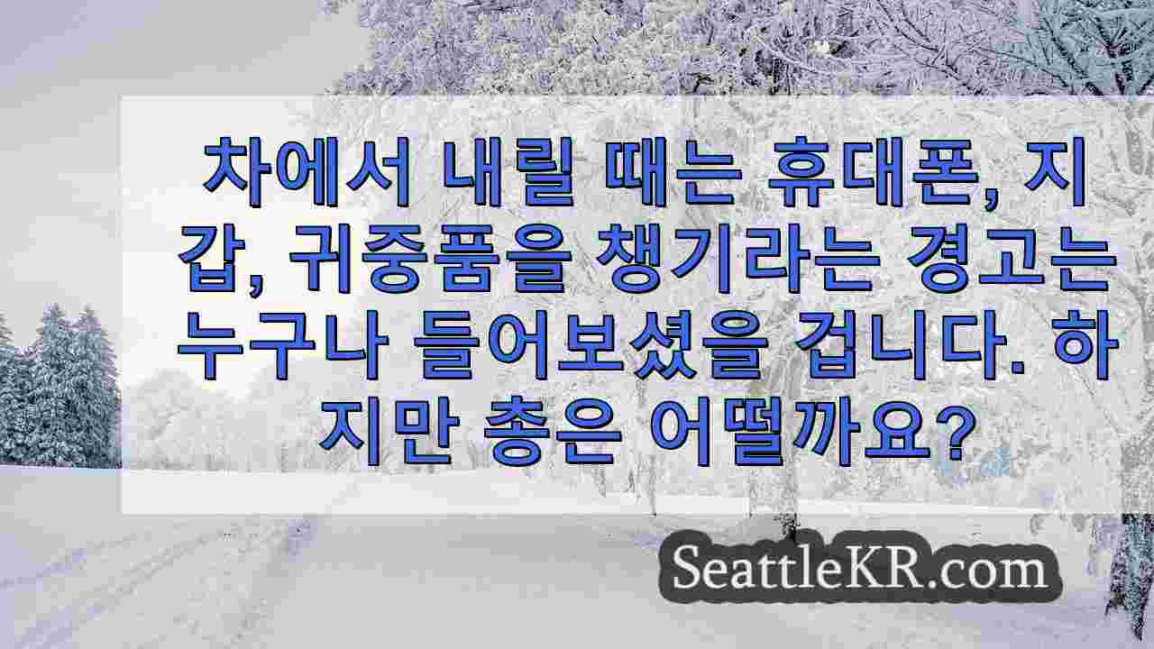 시애틀 뉴스 SeattleKR