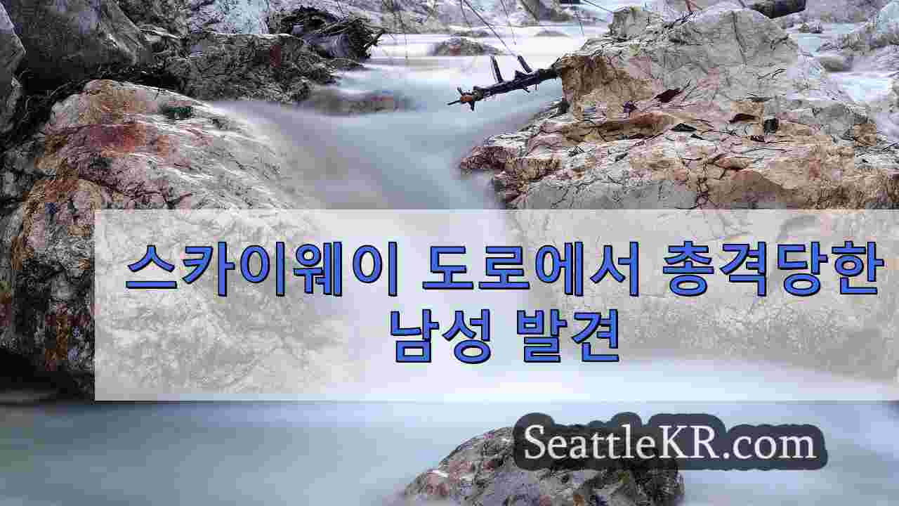 시애틀 뉴스 SeattleKR