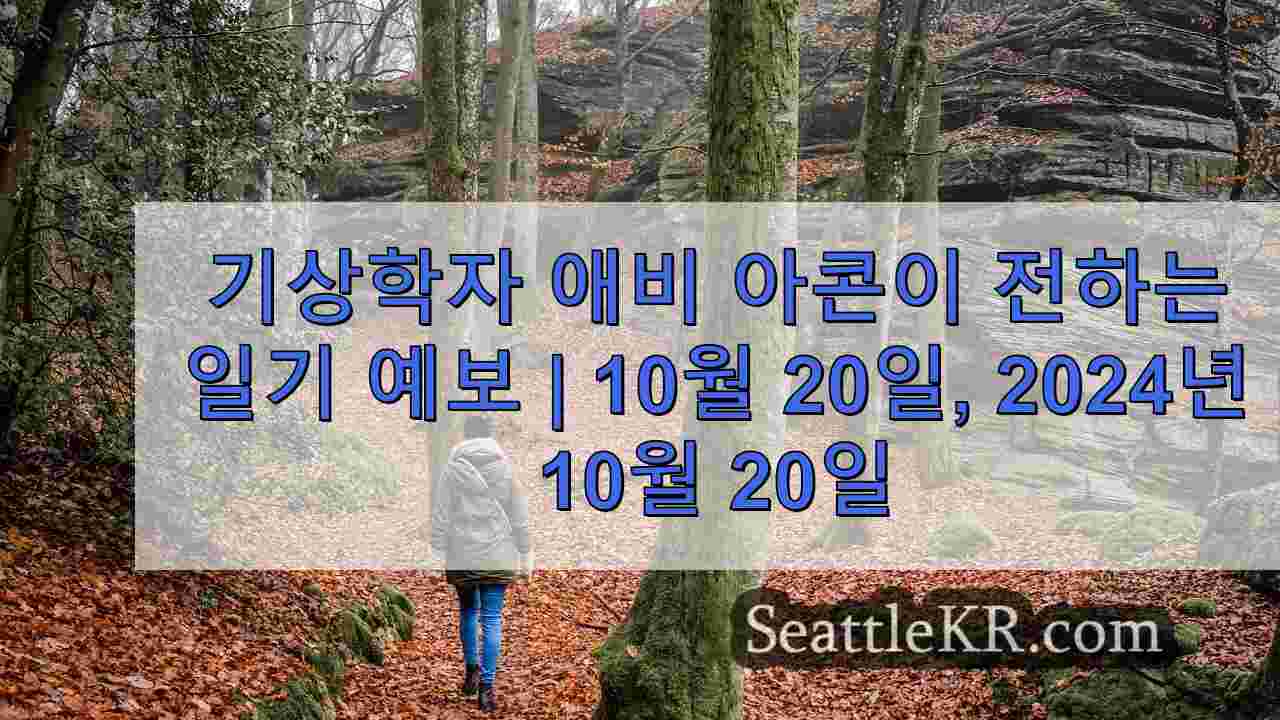 시애틀 뉴스 SeattleKR