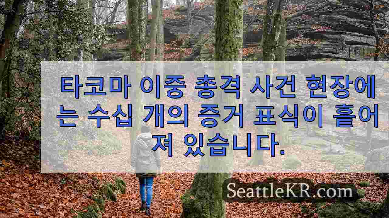 타코마 이중 총격 사건 현장에는 수십 개의 증거 표식이 흩어져 있습니다.
