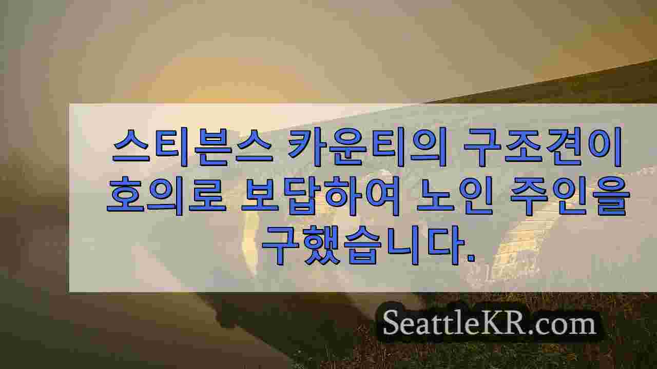 시애틀 뉴스 SeattleKR