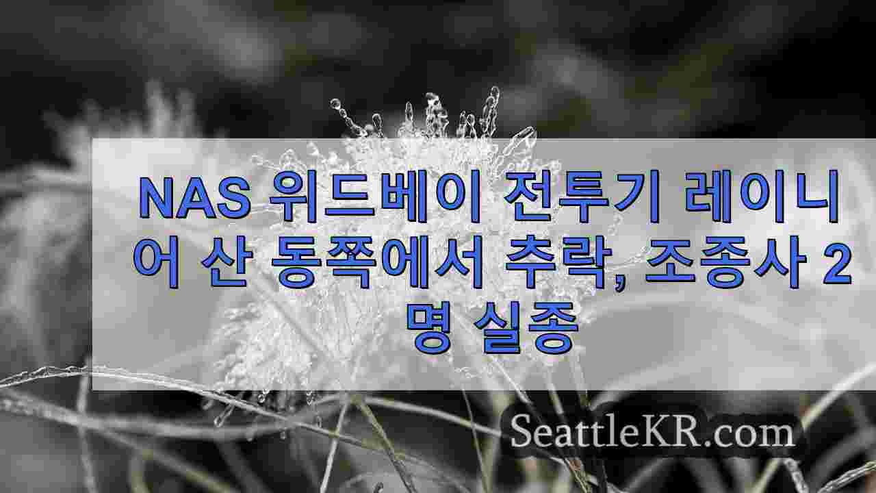 시애틀 뉴스 SeattleKR