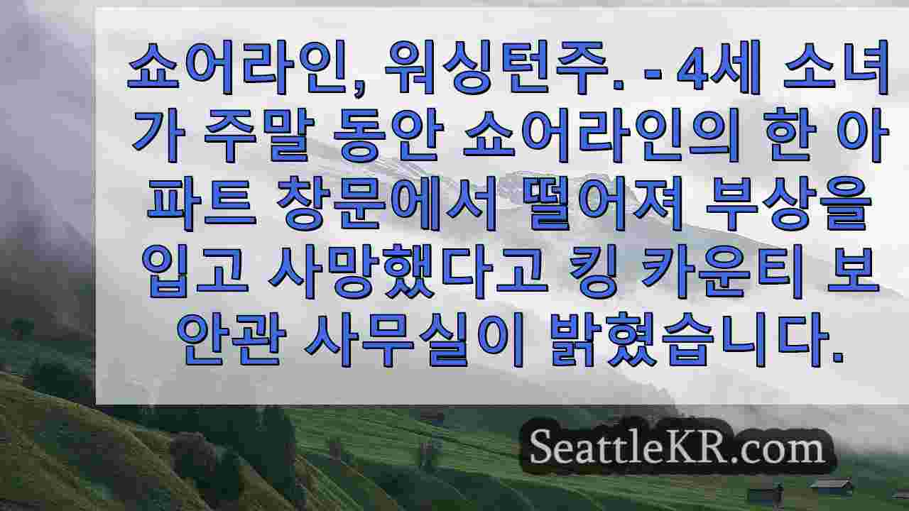 시애틀 뉴스 SeattleKR