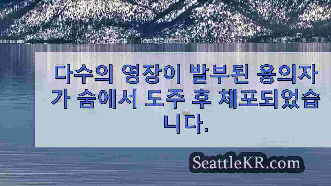 시애틀 뉴스 SeattleKR