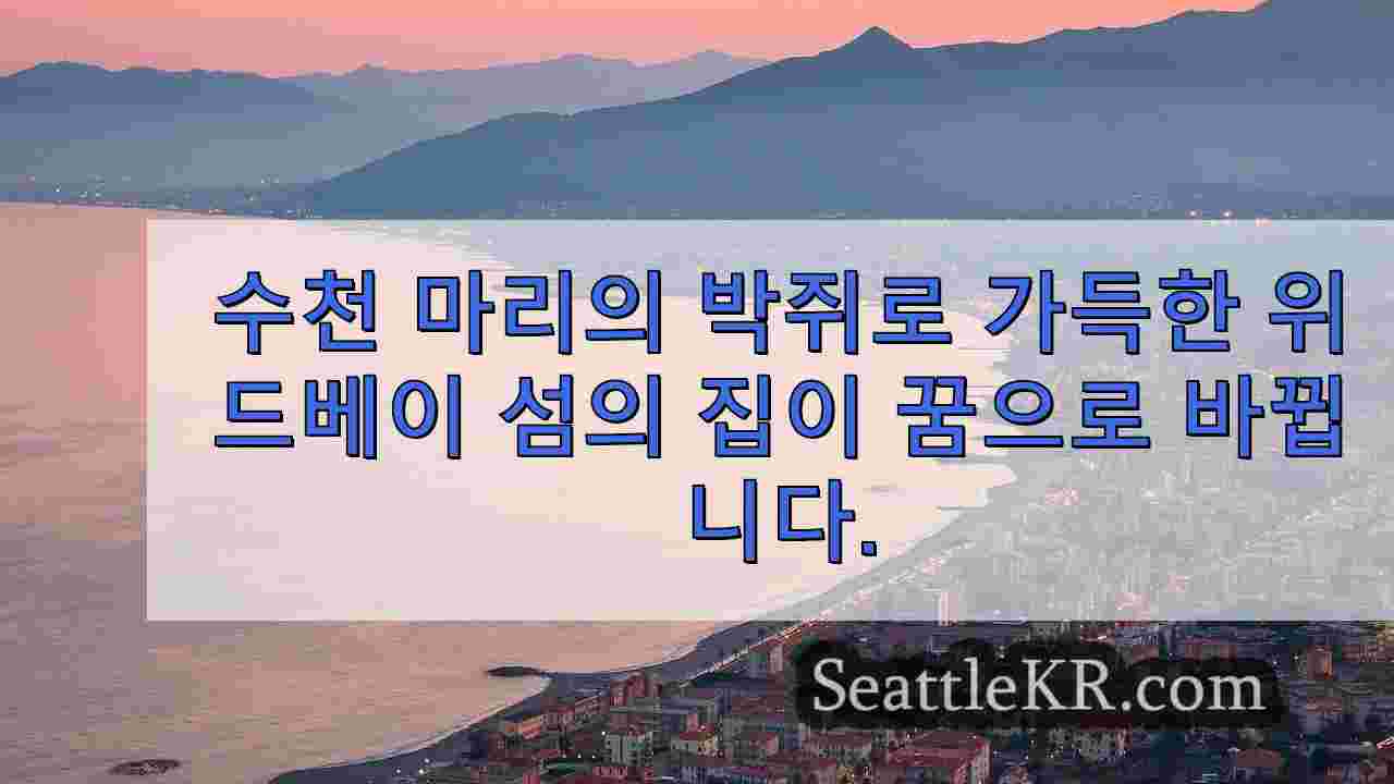 시애틀 뉴스 SeattleKR