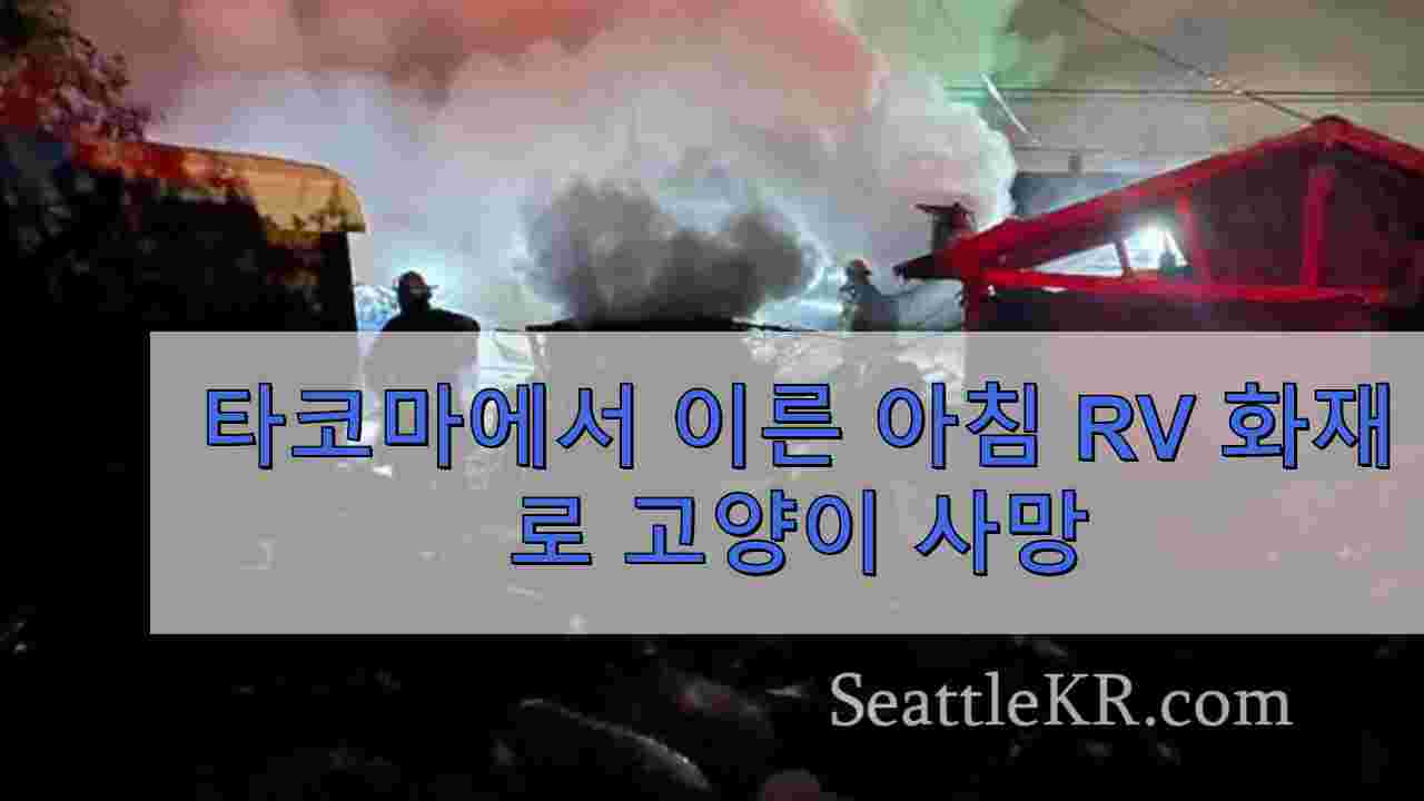 타코마에서 이른 아침 RV 화재로 고양이 사망
