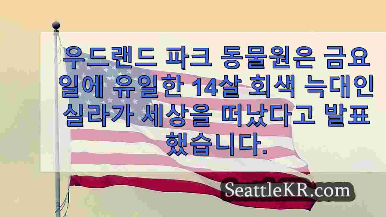 시애틀 뉴스 SeattleKR