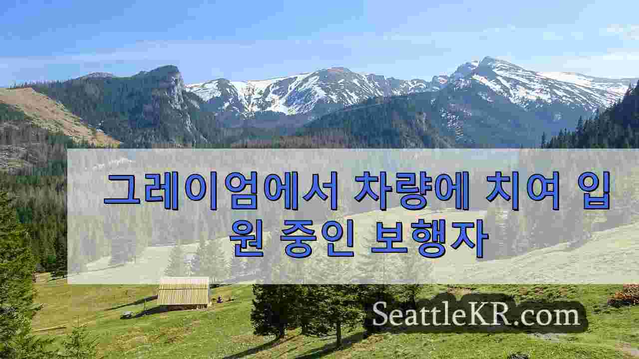 그레이엄에서 차량에 치여 입원 중인 보행자