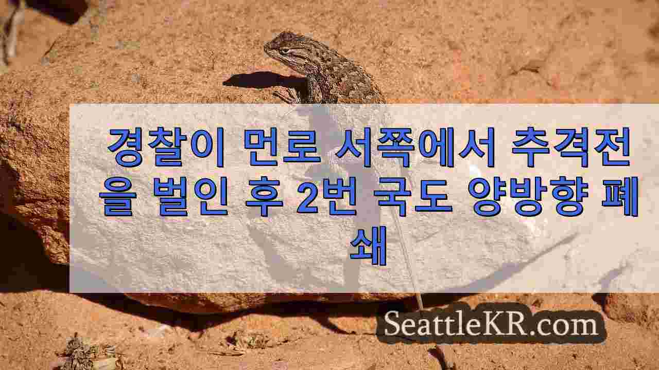 시애틀 뉴스 SeattleKR