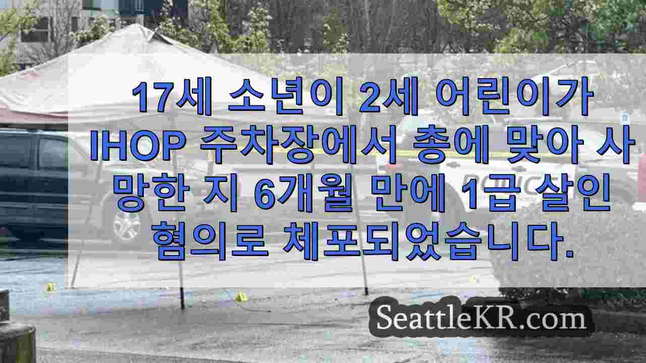 시애틀 뉴스 SeattleKR