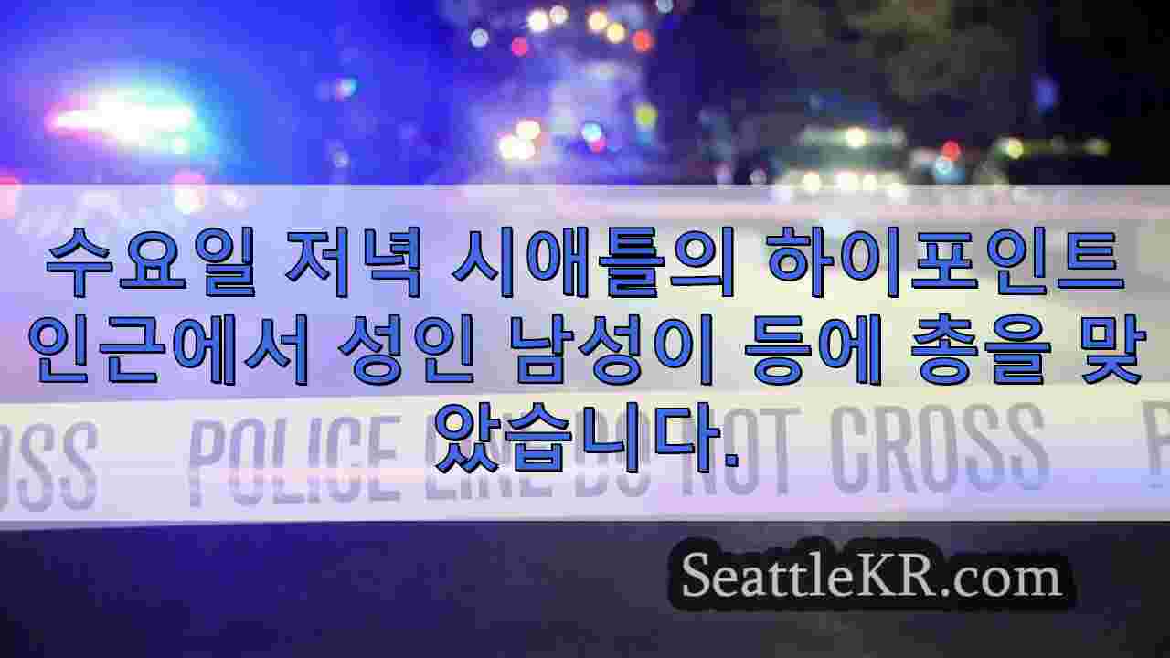 시애틀 하이 포인트 인근에서 뒤에서 총에 맞은 남성, 여러 용의자 체포