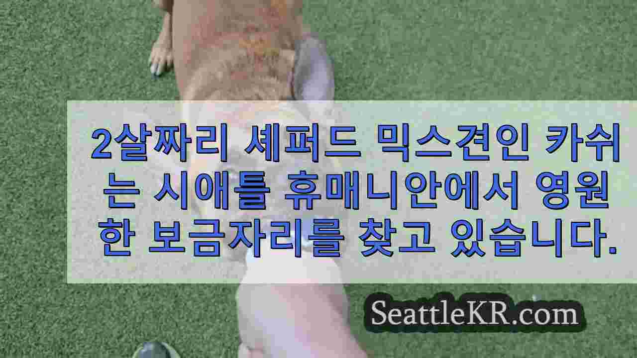 시애틀 뉴스 SeattleKR