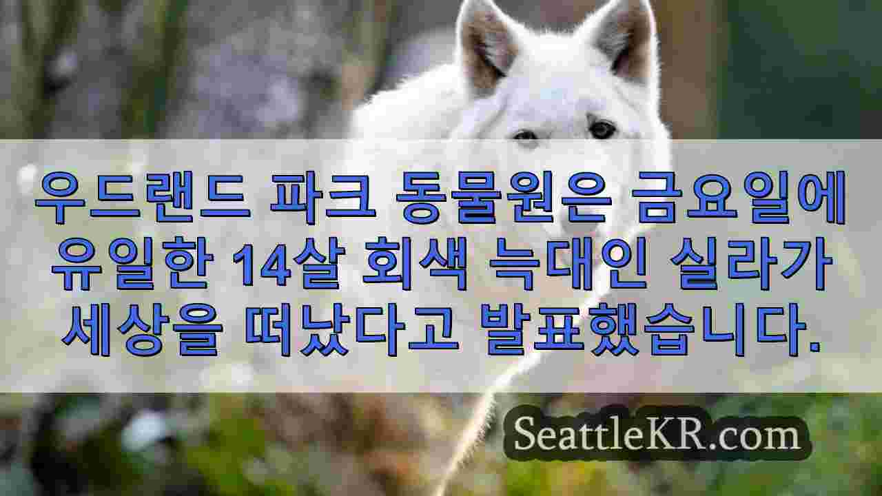 우드랜드 파크 동물원, 마지막 남은 회색 늑대 14살 실라의 죽음을