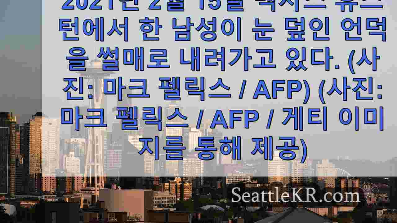 겨울 전망: 가장 추운 계절을 앞두고 라니나 출현 예상